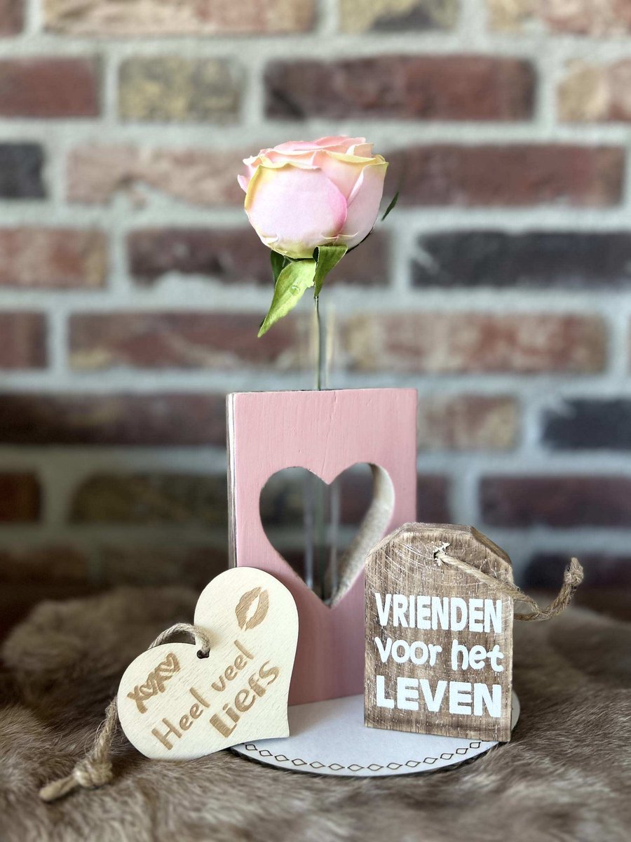 Creaties van hier – Cadeau pakket met hangertje Vrienden voor het leven - Blok hart roze met buisje en roos – teksthanger vrienden - met houten hartje -
