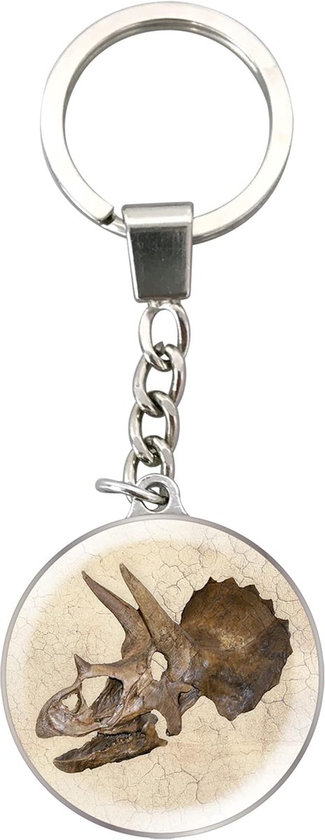 Keychains van Deluxebase. Kristalglas Sleutelhanger. Koepelvormige sleutelhanger met afbeelding van een met een roestvrijstalen ketting