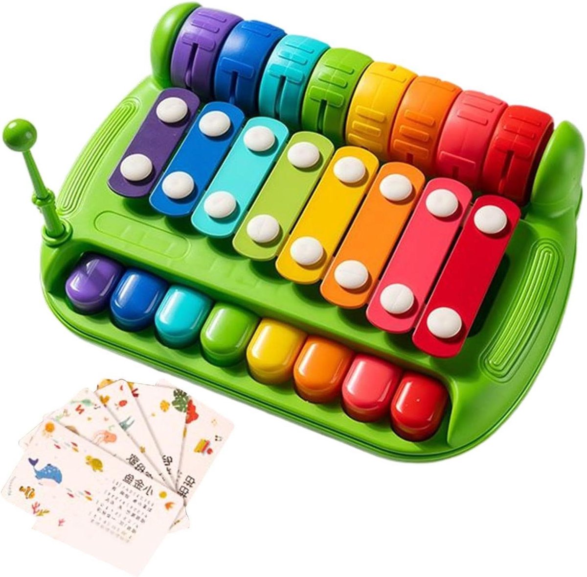 Kinder Piano Xylofoon - Muzikaal Leerinstrument - Muzikaal Ontdekken - 8 Kleurgecodeerde Toetsen - 223 x 163 x 68 cm