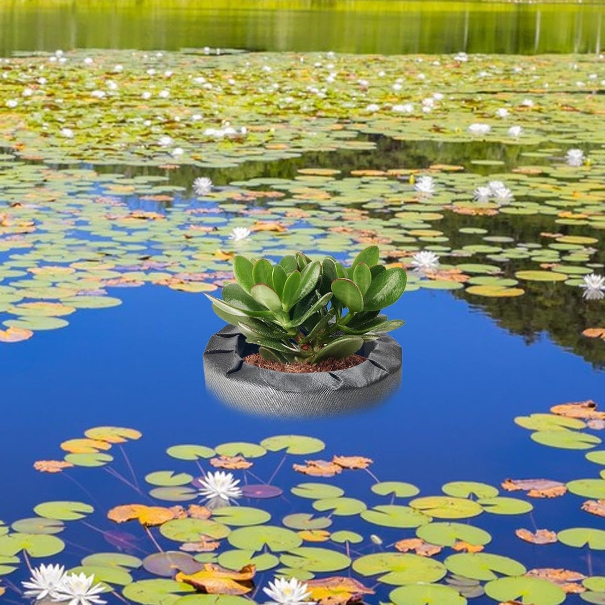 Drijvend Planteneiland - Vijverplanter Waterleliepot - Vijver Decoratie - Moeiteloos Drijvend Ontwerp - 23.5 cm Breed - Groen