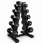 Halterrek Dumbbellrek - 5 Niveaus - Tot 100 kg - Zwart - Halters Niet Inbegrepen