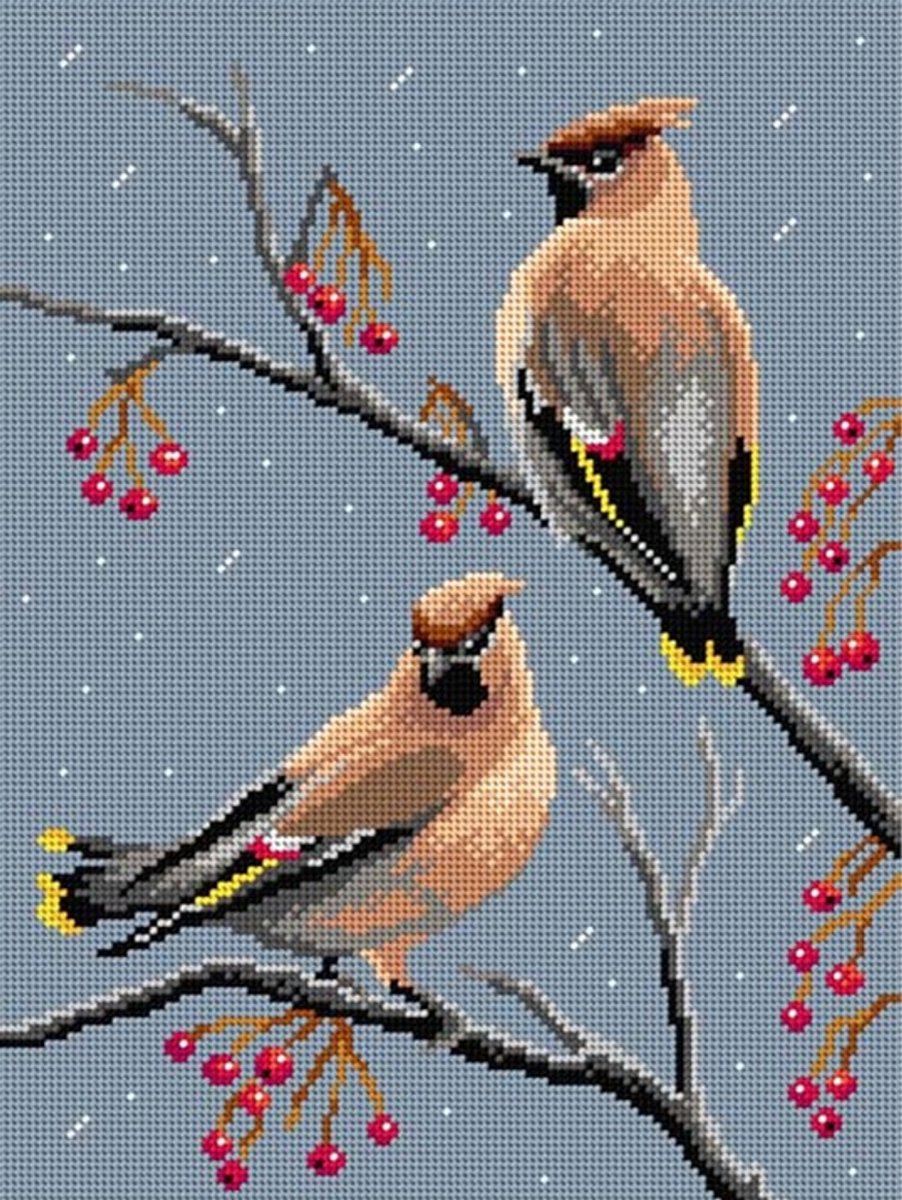 Voorbedrukt stramien - 3592 - Birds - Waxwings - ORCHIDEA 30 x 40 (STRAMIEN ZONDER GARENS)