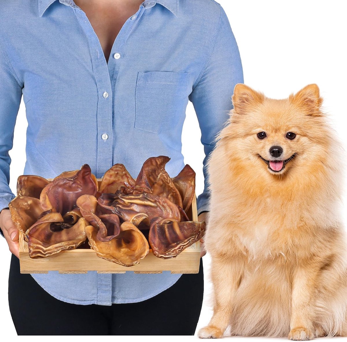 Thijox - Varkensoren voor honden 20 stuks Maat S (500g) | 100% Natuurlijk Kauwartikel | Graanvrij | Langdurig Kauwplezier voor Kleine en Grote Honden