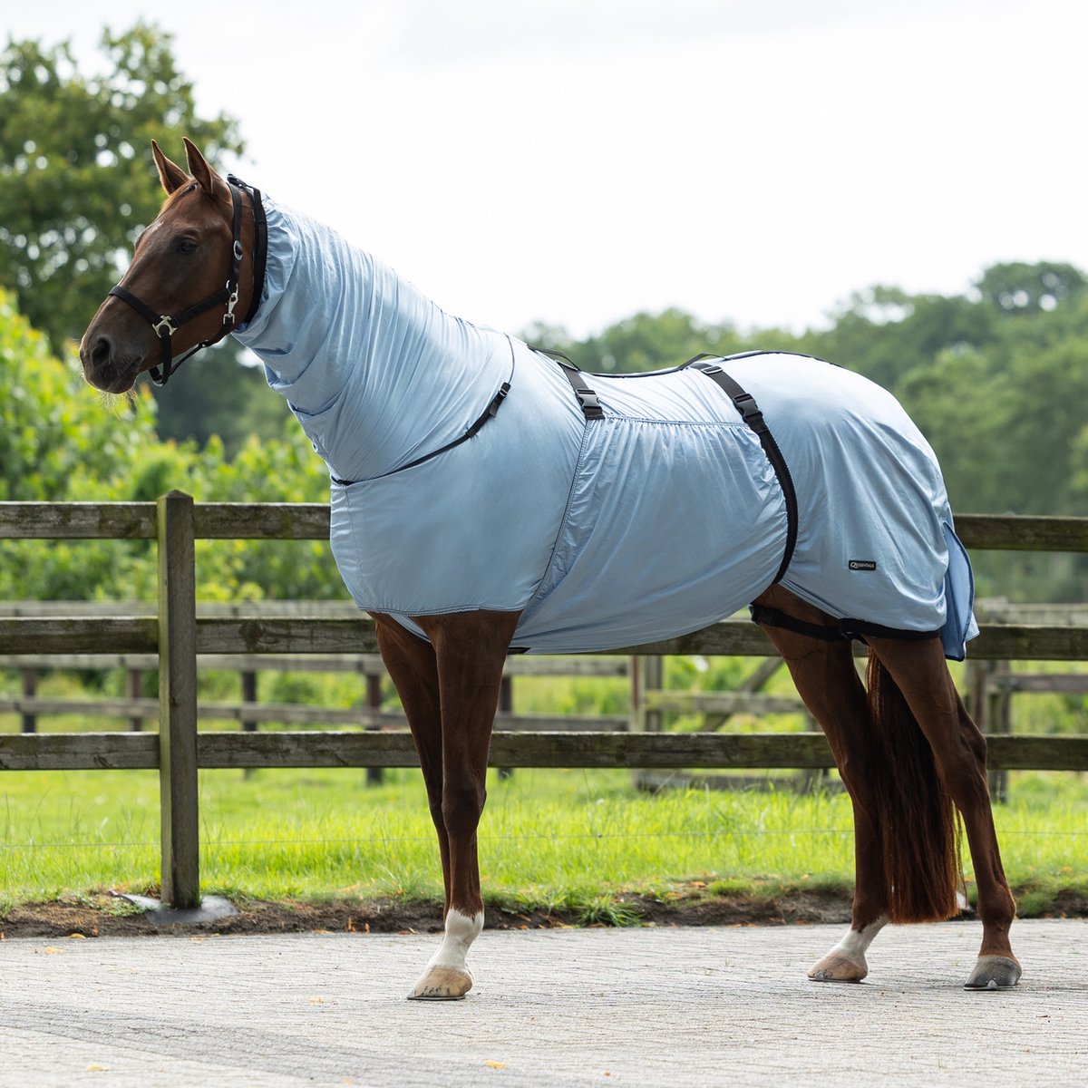 Q-essentials Eczeemdeken Steel Blue 100/135