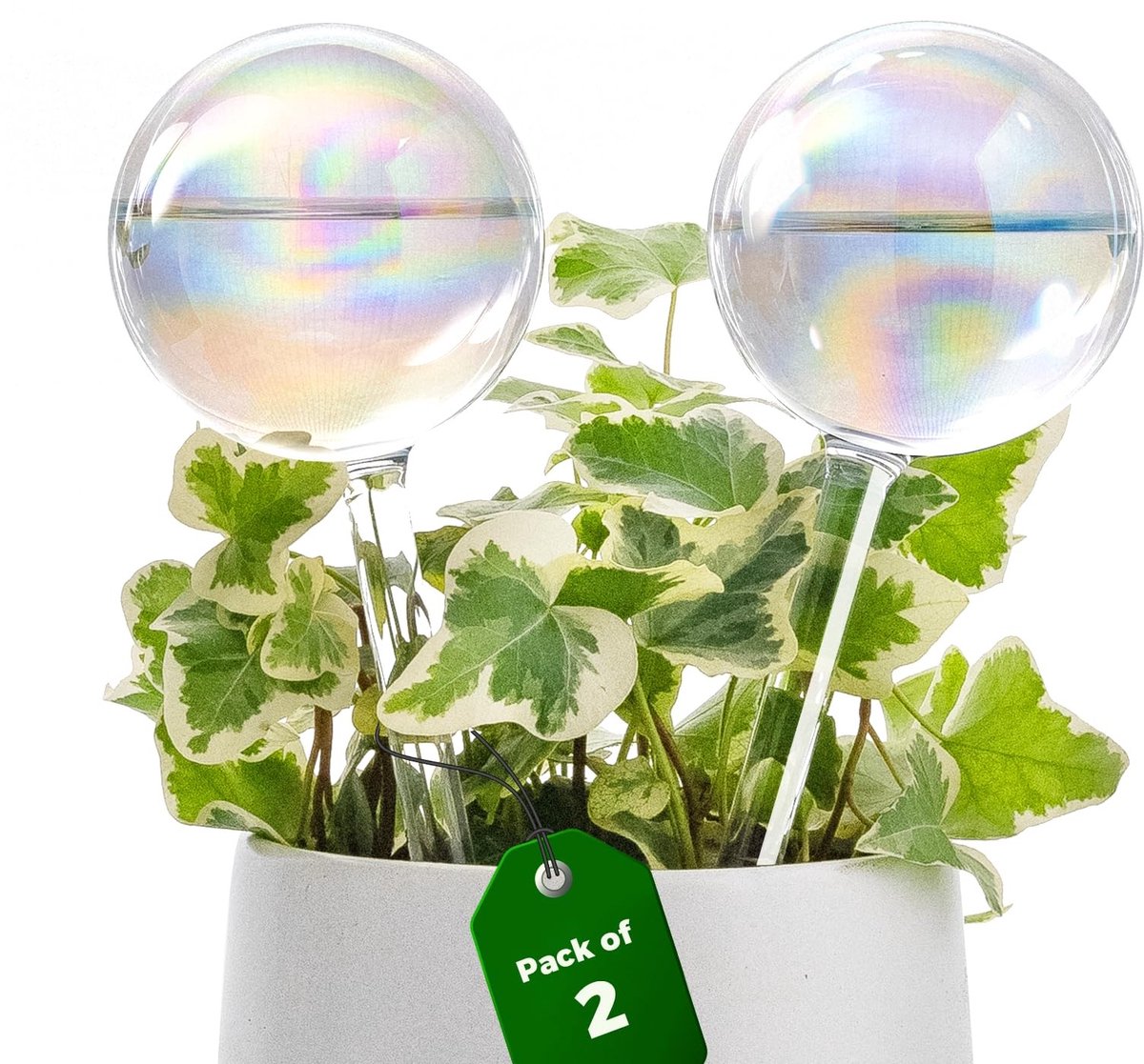 Dailygoods - Bamworld Glazen Zelfwatergevende Spikes Licht Iridescent Regenboog Gradient Globes 2 Stuks Automatische Irrigatie voor Binnen Buiten Planten Watergeefsystemen