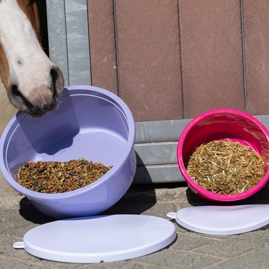 Paard neust aan paarse voerbak met korrels naast een roze bak met hooi.
