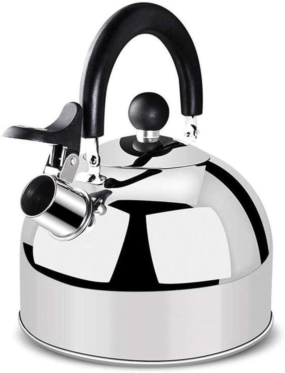 RVS Ketel - Theepot Fluitketel - Water Koken - Anti-broei Handvat - 23 Liter - Zilver