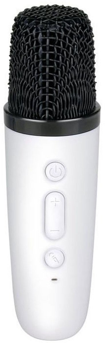 Karaoke set draadloze mini van Fenton — afbeelding 2