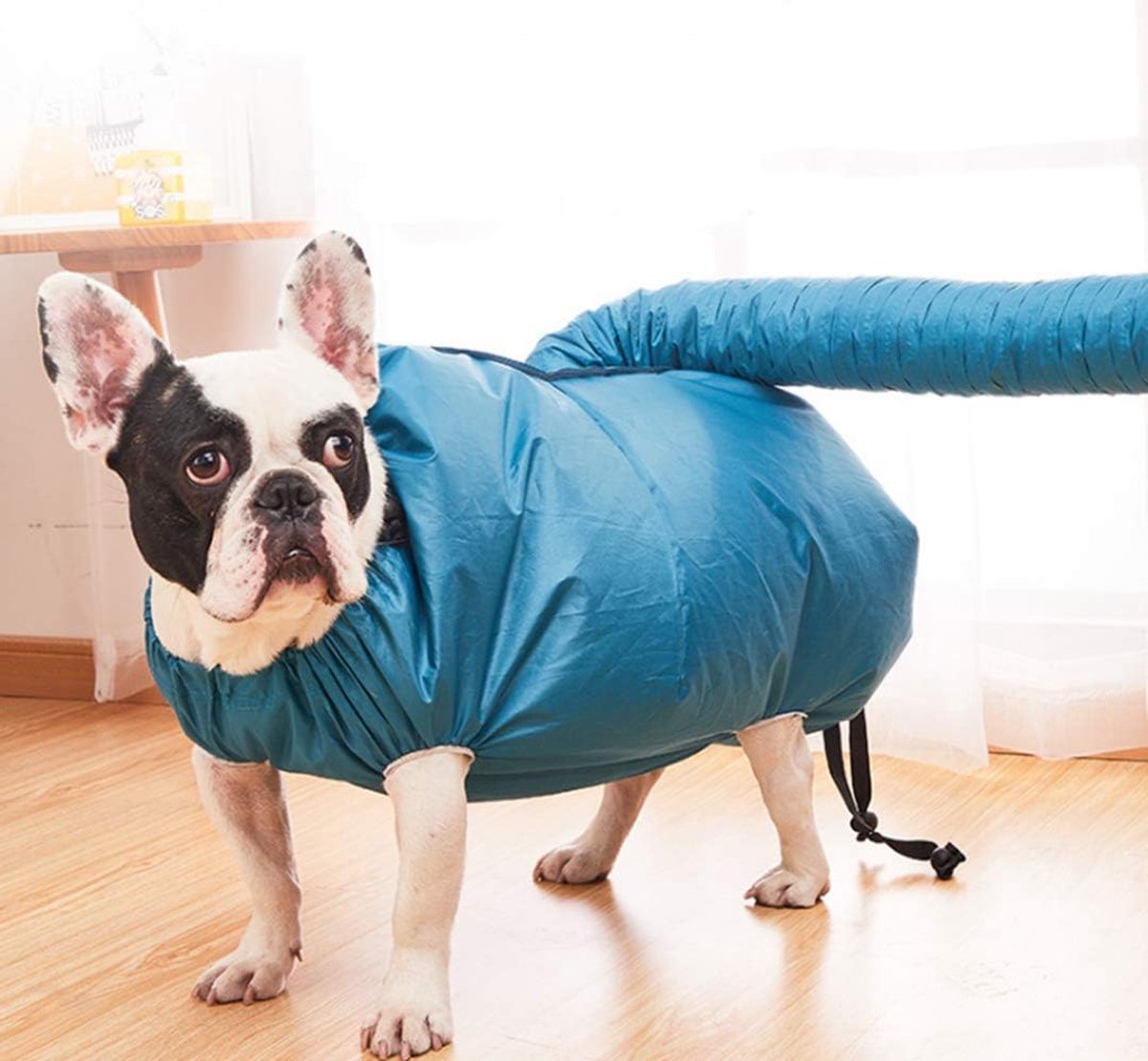 Hondenföhnzak - Droogzak voor Huisdieren - Droogt snel Dierenhaar na Het Wassen - 5-10 kg