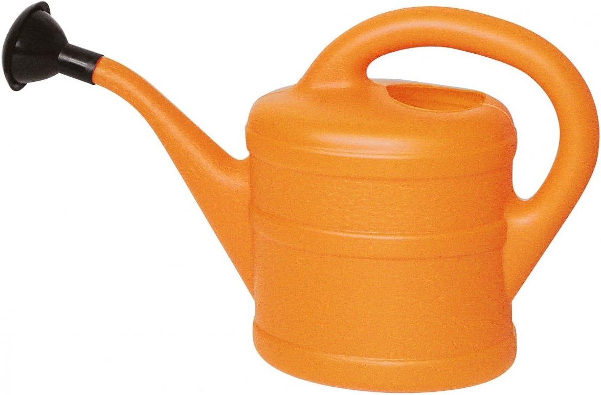 SnelShoppen - Herstera Gieter 1 Liter Kunststof Muntgroen met Ergonomische Handgreep en Douche-opzetstuk voor Bloemenverzorging, Balkon en Kamerplante