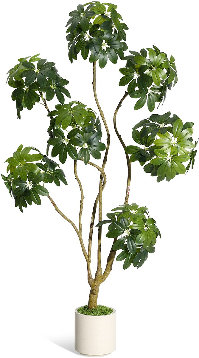 150 cm hoge levensechte kunstparasolboom (Schefflera), staande binnenkunstplant met meerdere stammen, real-touch bladeren, decoratieve witte pot voor thuis, kantoor en veranda