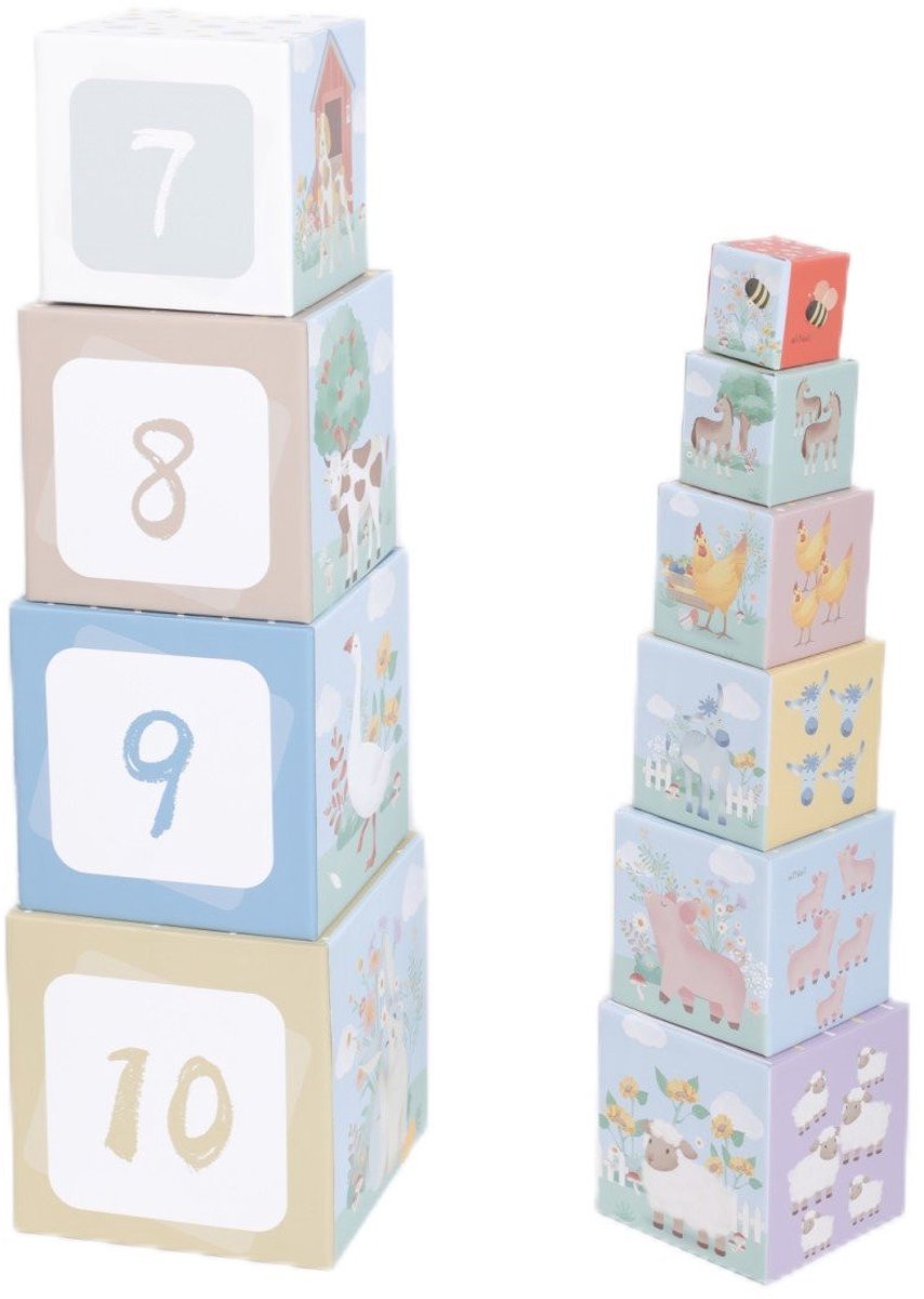 EliNeli-Montesosori Box Farm