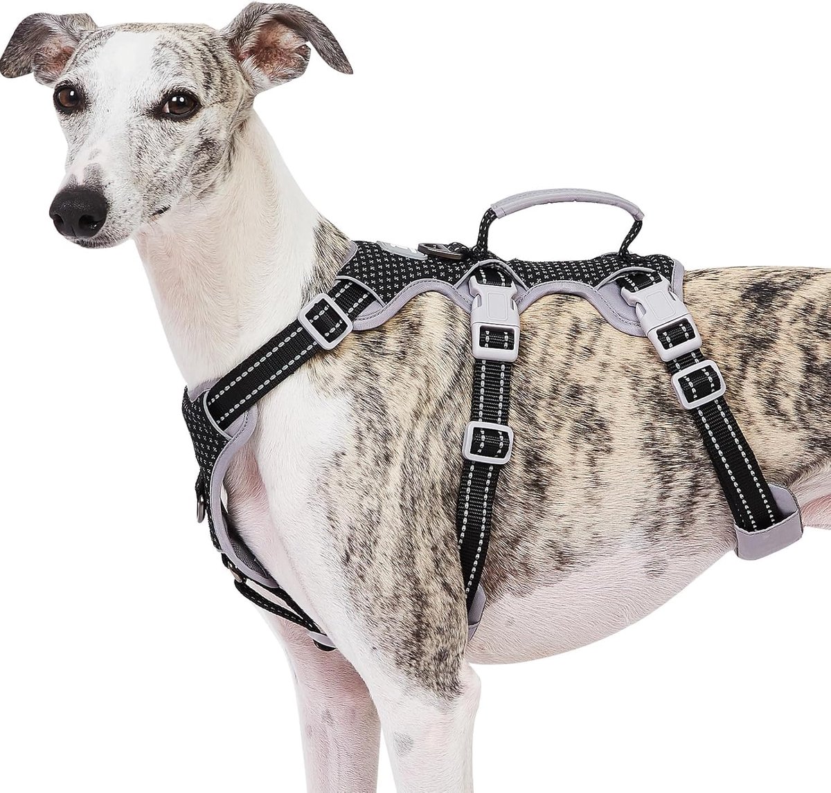Proof Harness,Geen Slip Hondenharnas Escape Proof,Volledig Reflecterend Harnas met Handvat,Ademend,Duurzaam,Verstelbaar Vest voor Middelgrote Honden Wandelen,Training,en Running Gear(Zwart,M)