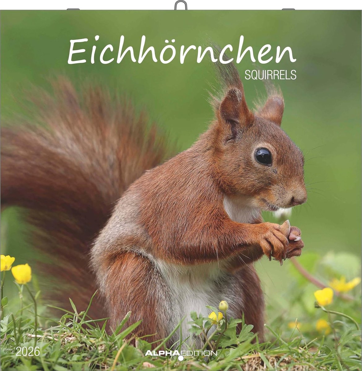 SnelShoppen - Eichhörnchen 2026 Broschürenkalender 30x30 cm met Notizkalendarium, 12 natuurverbondige dieren, decoratieve wandkalender & praktische pl