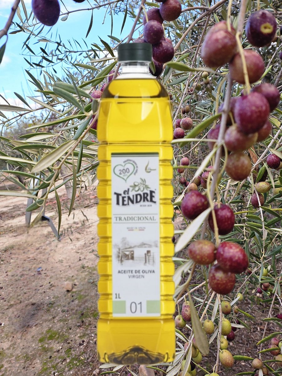 El Tendre aceite de olivia virgen Spaanse olijfolie 1 liter. De lekkerste olijfolie van Spanje!
