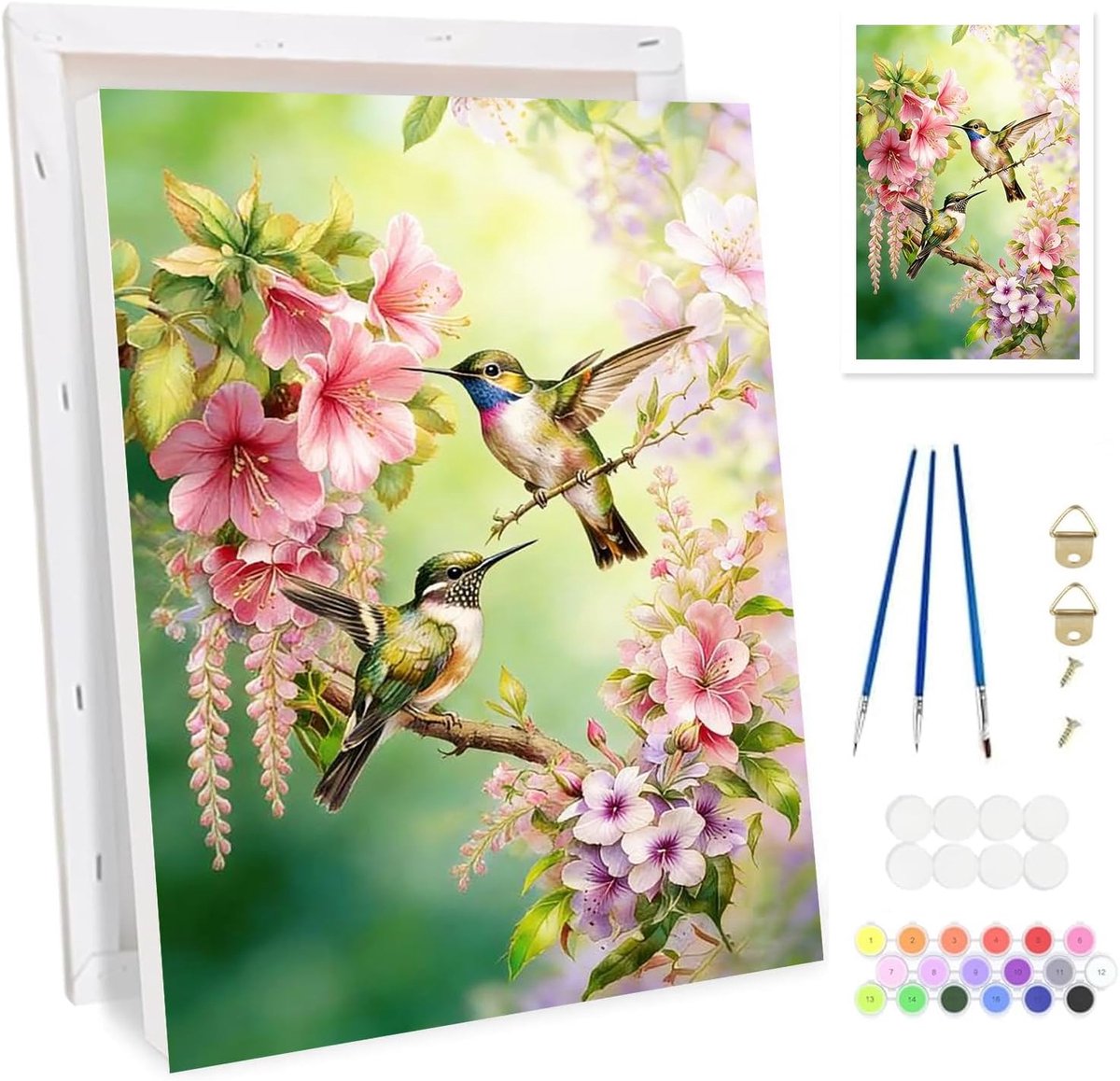 SnelShoppen - Schilderen op Nummeren voor Volwassenen met Lijst - DIY Bloemen Schilderij Set met Vogel - Canvas Kit met Acrylverf en Penselen - Perfec