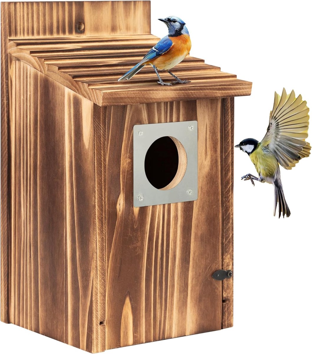 Thijox - Stevige Vogelhuisjes voor Buiten met Metalen Bescherming - Gecarboniseerd Hout, Voor Blauwe Lijster, Winterkoninkjes, Zwaluwen, Vinken - Gema