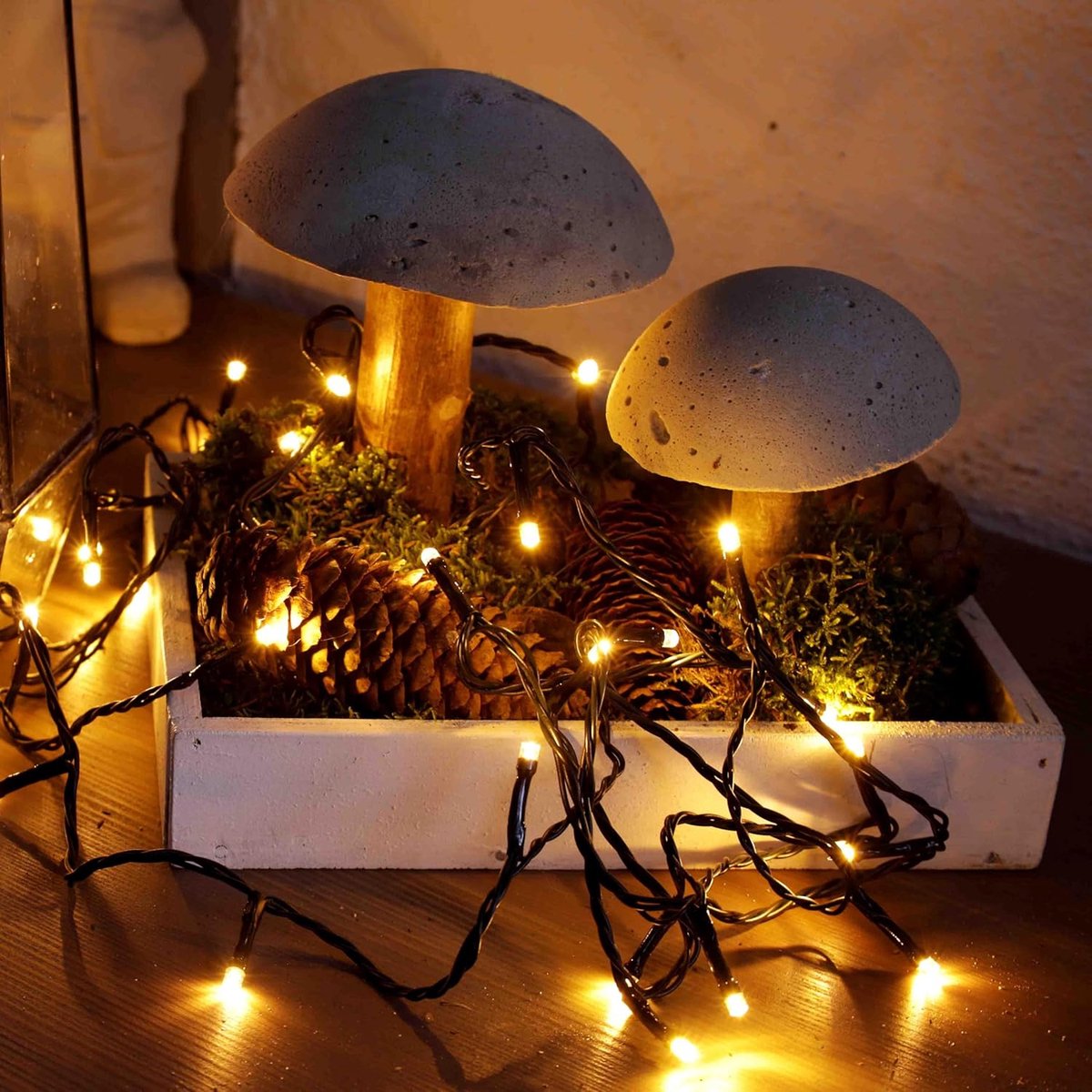 SnelShoppen - LED Sfeerverlichting Buiten Binnen - Warm Witte Fairy Lights - 40 LED Lampjes met Groene Kabel - Ideaal voor Feest, Tuin, Kerst, Camping