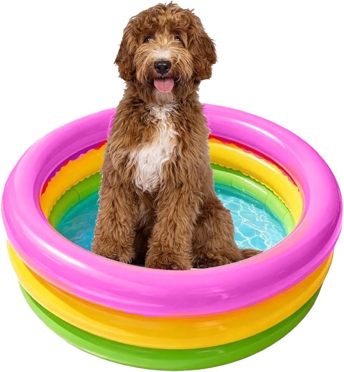 SnelShoppen - Hondenzwembad 60 x 25 cm, Opvouwbaar Kinderbad voor Honden en Kinderen, Draagbaar Huisdierenbad met Antislip Bodem, Inklapbaar Zwembad v