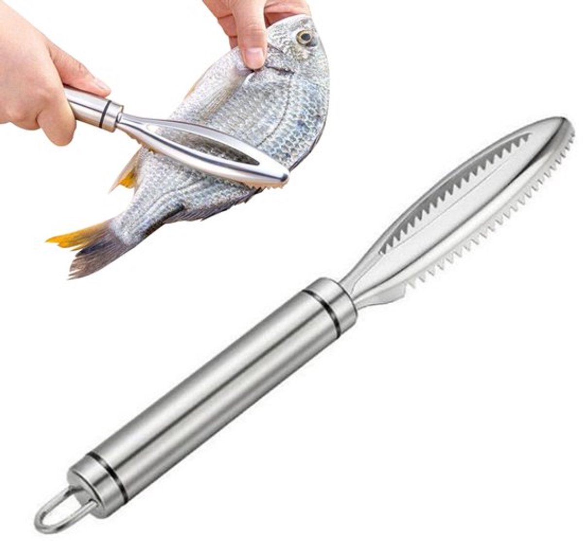 Vis Schraper RVS Professionele Vis Schraper, Keuken Hulp