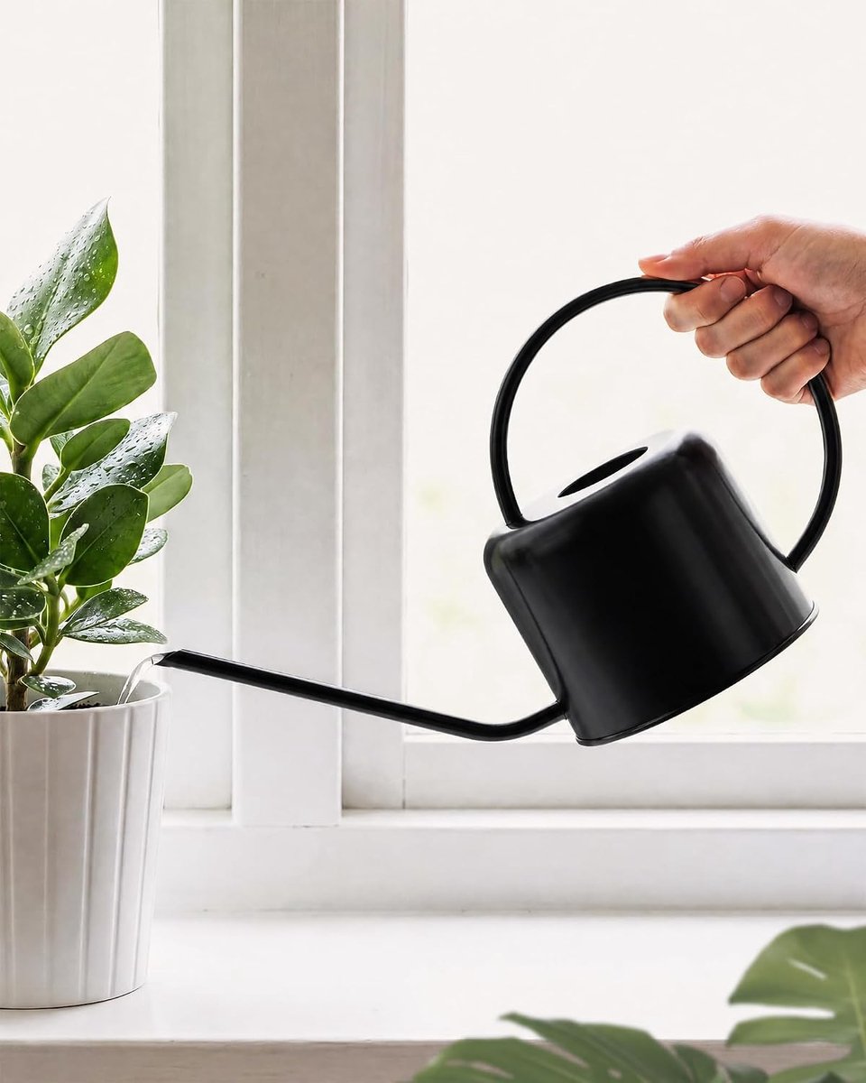 SnelShoppen - Kleine Waterkan voor Binnen met Lange Tuit - Metalen Waterkan voor Nauwkeurige Waterafgifte - Zwart - Perfect voor Kleine Kamerplanten