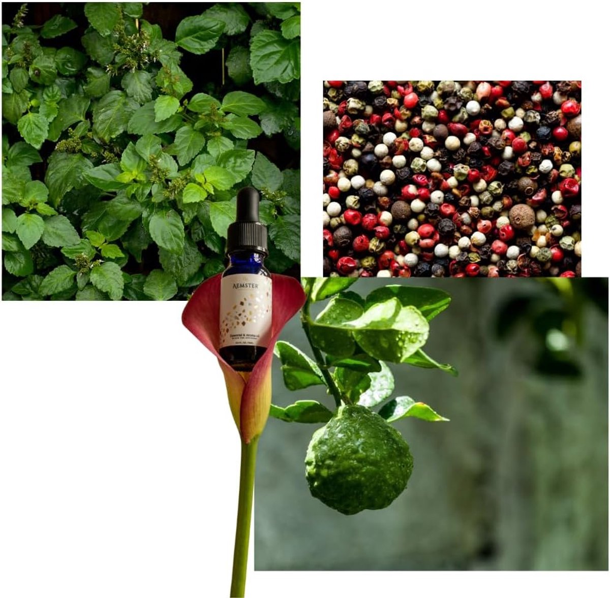 SnelShoppen - Pepper Palm (15ml) - Geur olie voor thuis - Aroma diffuser - Peperige, kruidige en citrusachtige geur - Perfect voor elk seizoen