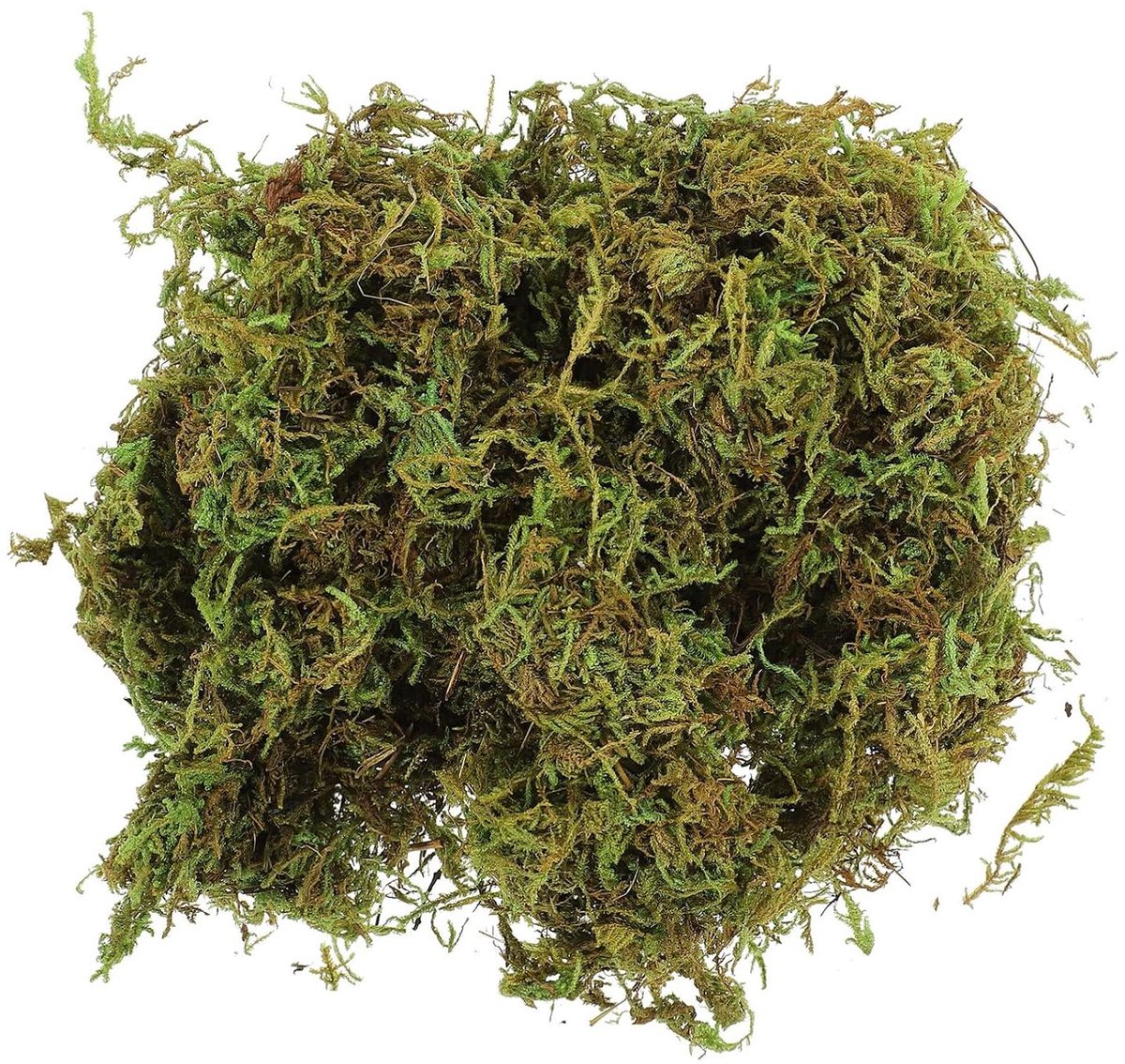 Bewaard Mos - Decoratie Mos - Creatieve Decoratie - Onderhoudsvrij - 60 Gram - Groen
