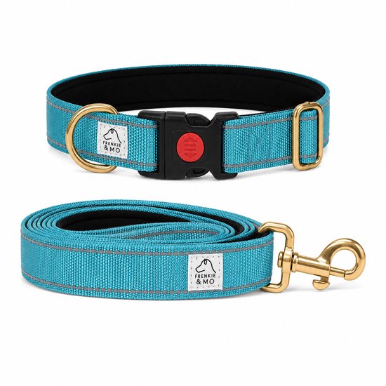 Turquoise halsband en bijpassende hondenriem met reflecterende strepen en gouden hardware.