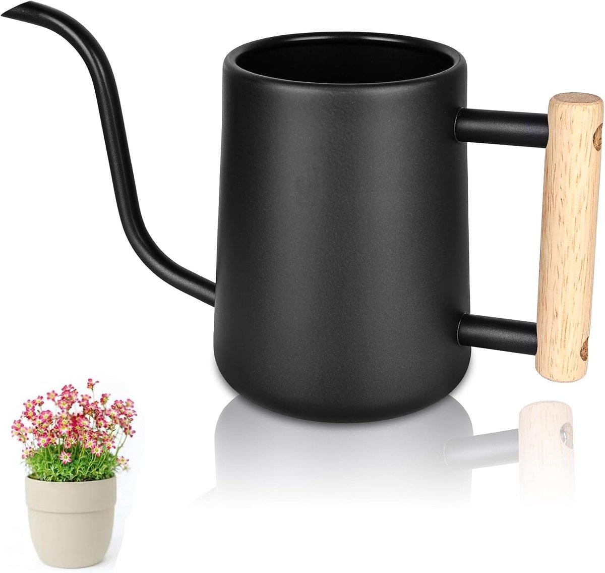 SnelShoppen - Gieter 1L Kleine Gieter voor Kamerplanten, Mini-Gieter van Metaal met Lange Schenktuit, Zwarte Gieter voor Buitenplanten en Vetplanten,