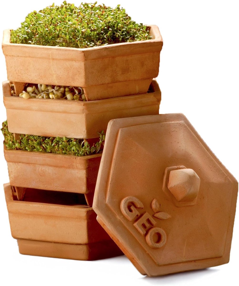 Thijox - Geo TZZ0933 Kweeksets TerradiSiena Kiempakket, Bruin, 19x19x31 cm, Innovatief Kweekapparaat voor Binnen en Buiten, Dubbele Groeimodus, Geschi