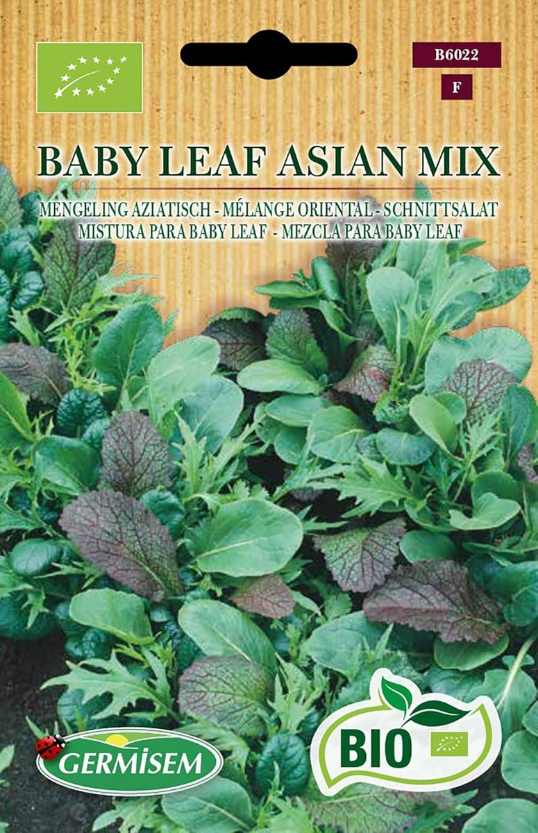 SnelShoppen - Biologische Baby Leaf Aziatische Mix Slazaad 2g - Pittige Smaak - Voor Tuin en Keuken - Geschikt voor Kweek in Kas - Oogsten na 3-4 Weke