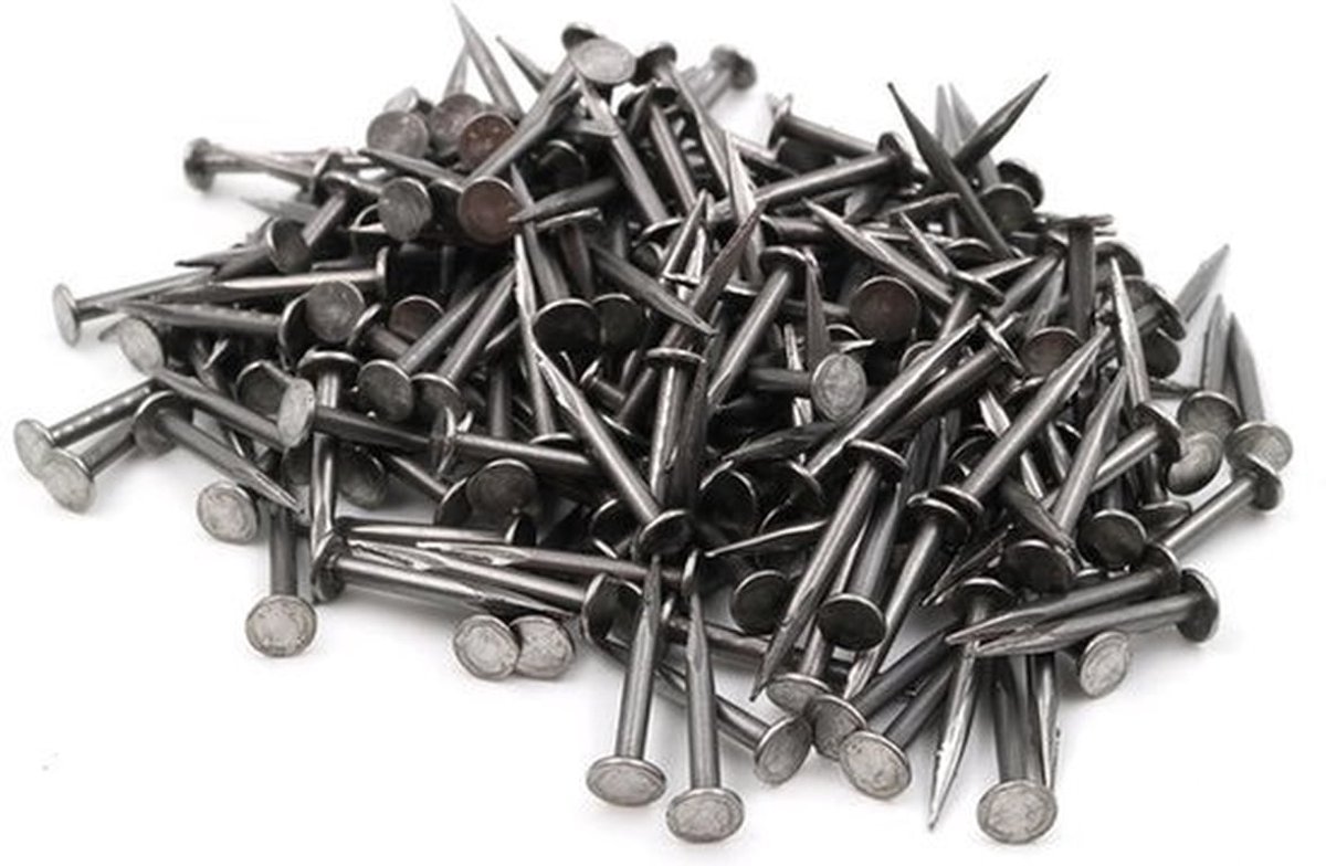 200 Stalen Spijkers 2,0 x 20 mm - Fijn Gesneden met Platte Kop