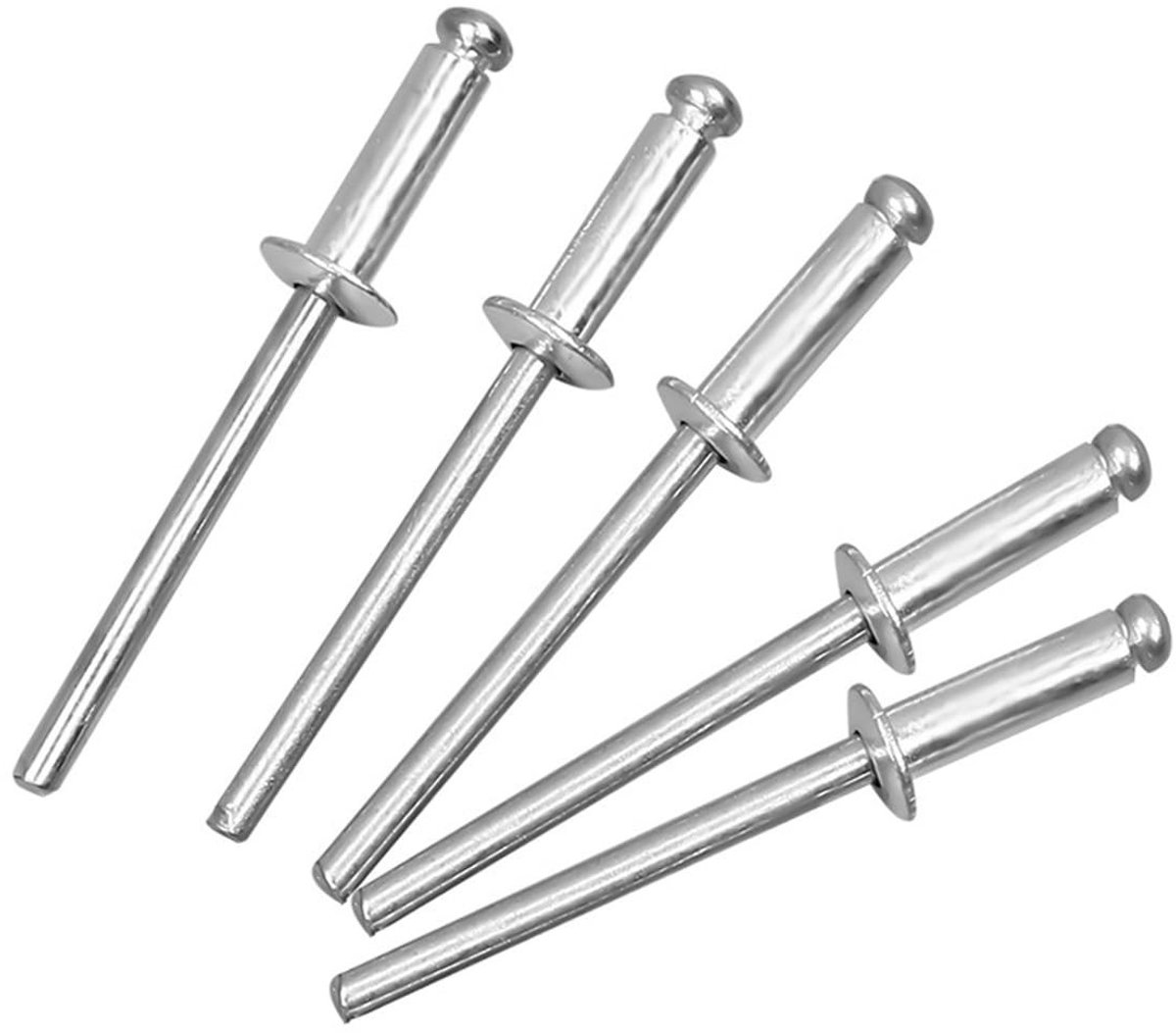 Roestvrijstalen blindklinknagels - 200 stuks van 4,8 x 12 mm