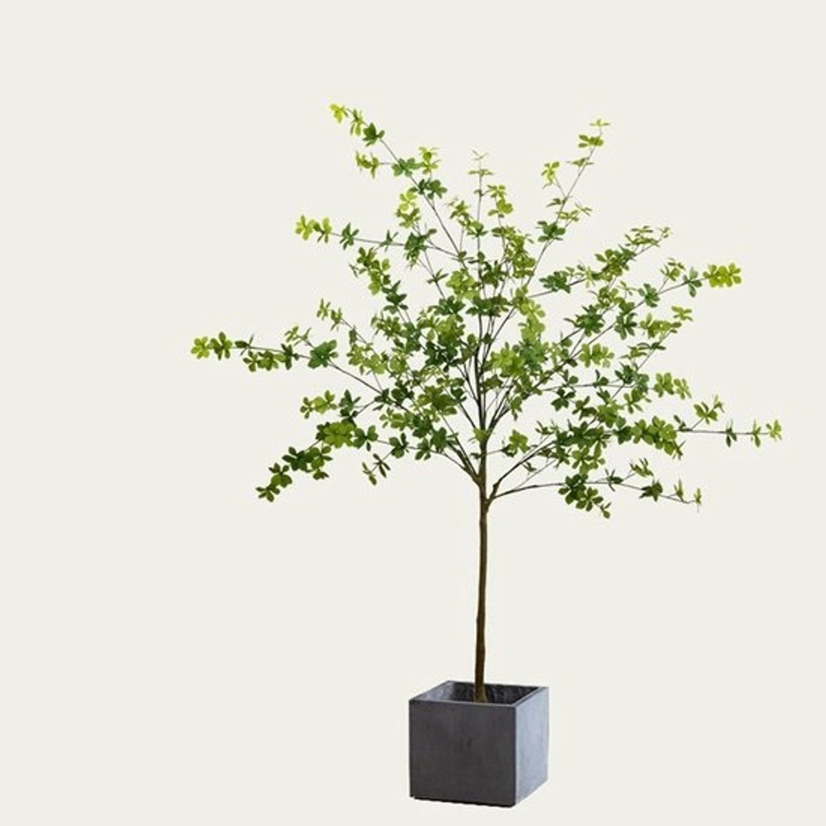 Kunstmatige Olijfboom - Nep Plant Kunstplant - Woonkamer Decoratie - Realistisch Uiterlijk - 160 cm - Zwart