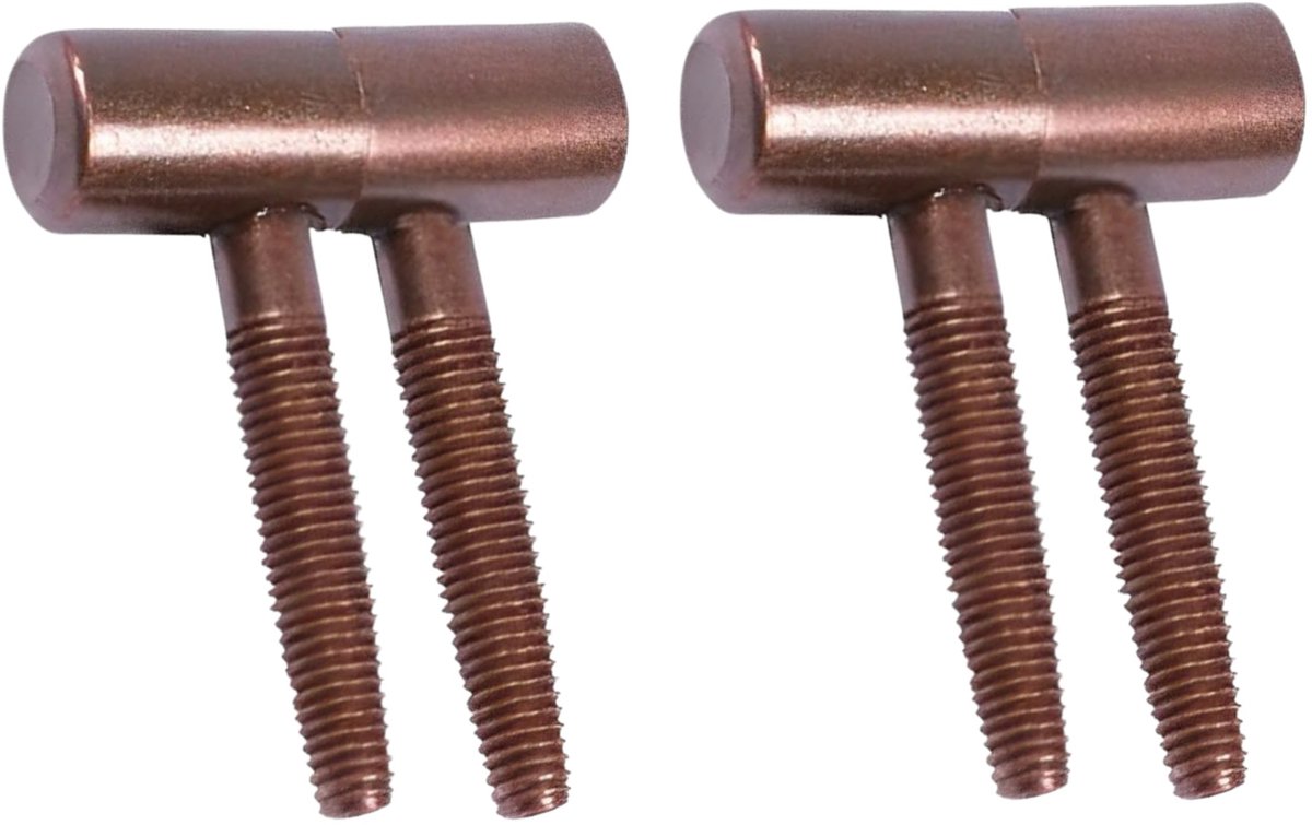 Anuba Scharnier voor Deuren en Ramen - Set van 2 - Bronzen 14 mm