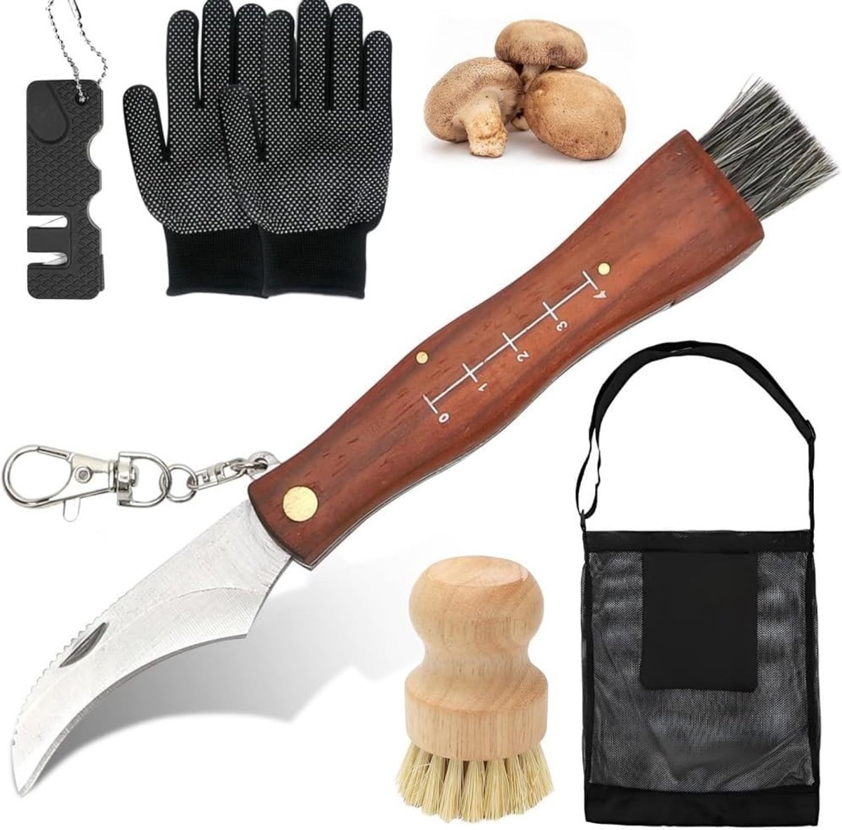 Paddenstoelenmes met Borstel, Jacht Tas, Kompas, 2 Handschoenen en Slijper - Mycologisch Mes met Houten Handvat en Varkensharen Borstel voor Paddenstoelen Plukken