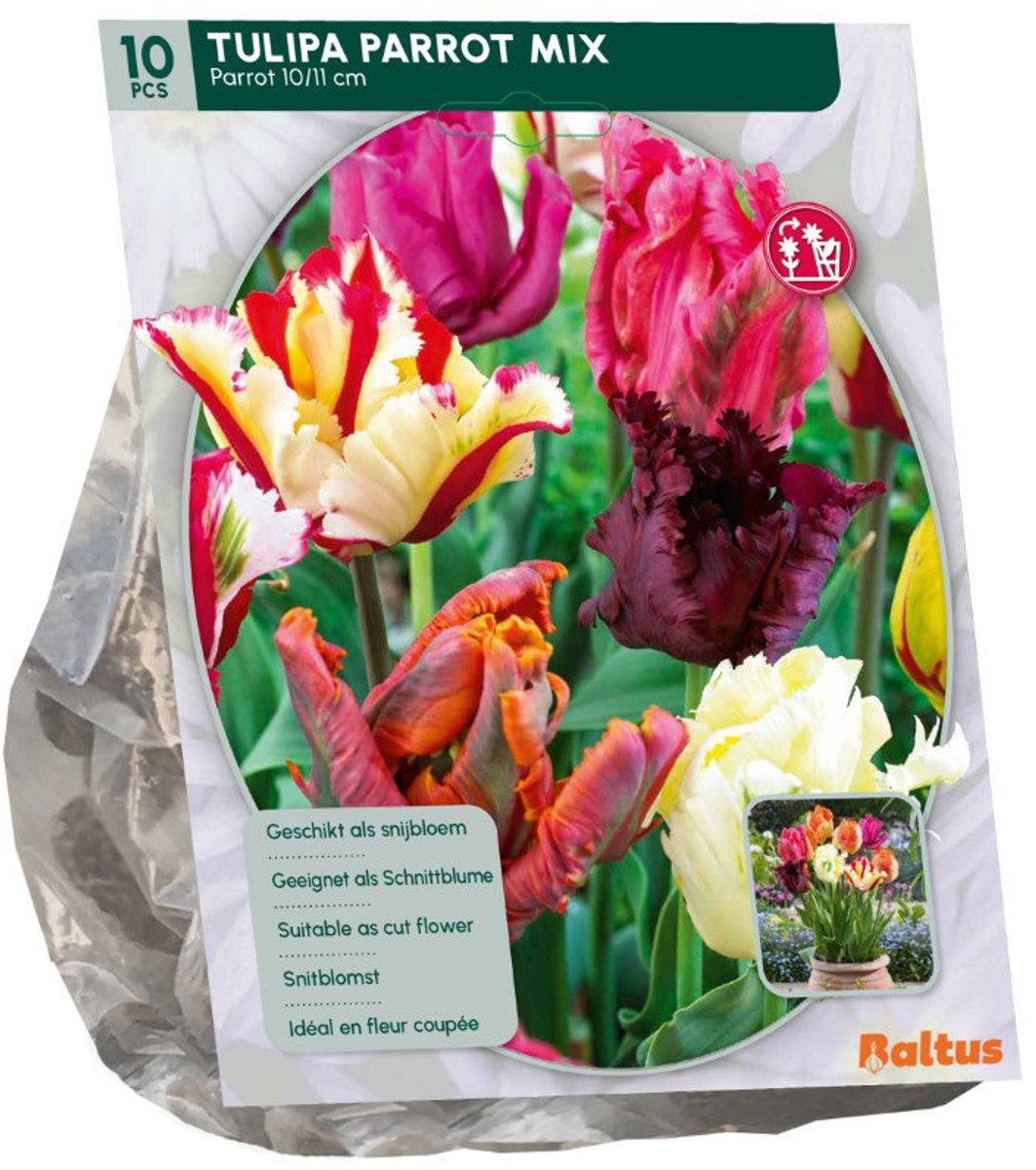 Tulipa Parkiet mix 10 stuks bloembollen Baltus