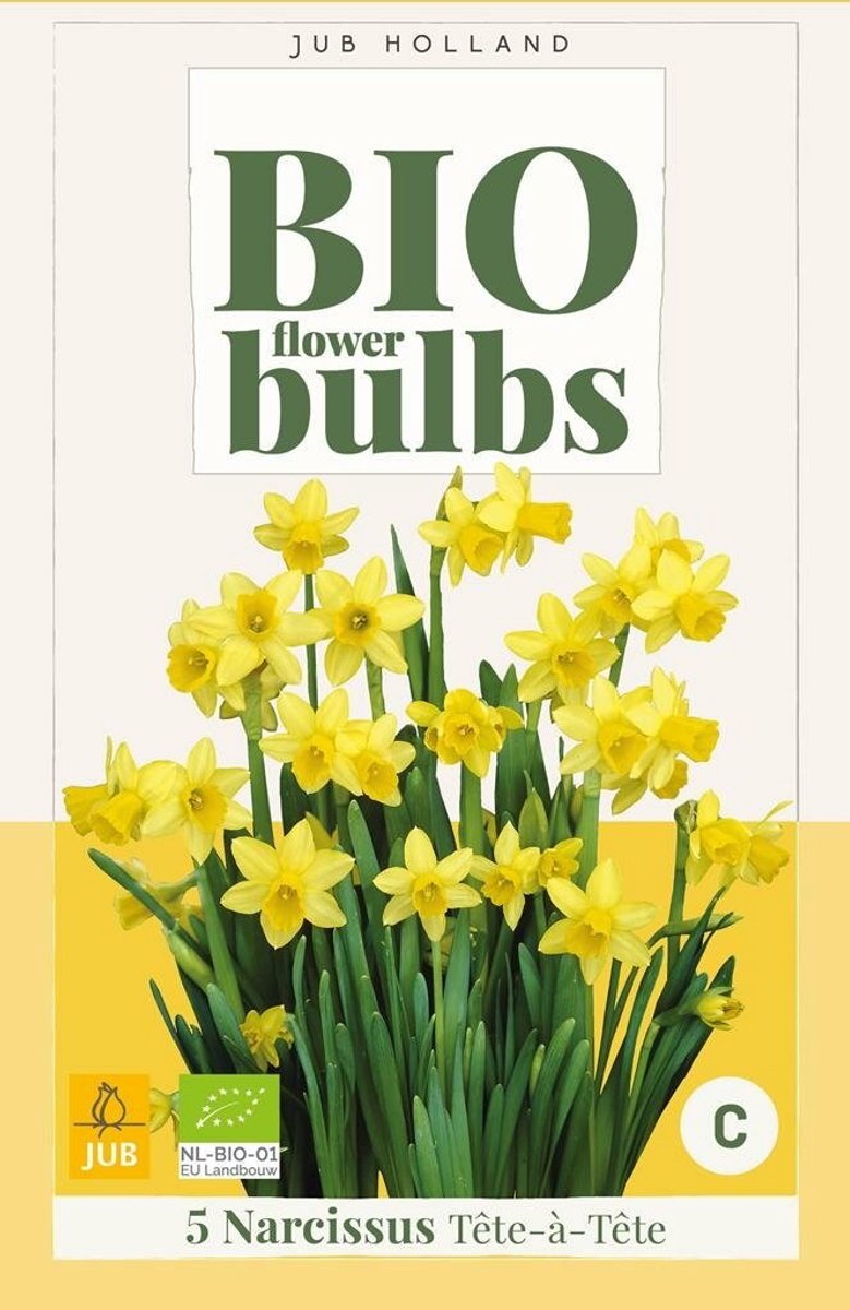 Narcissus tete-a-tete 5st JUB