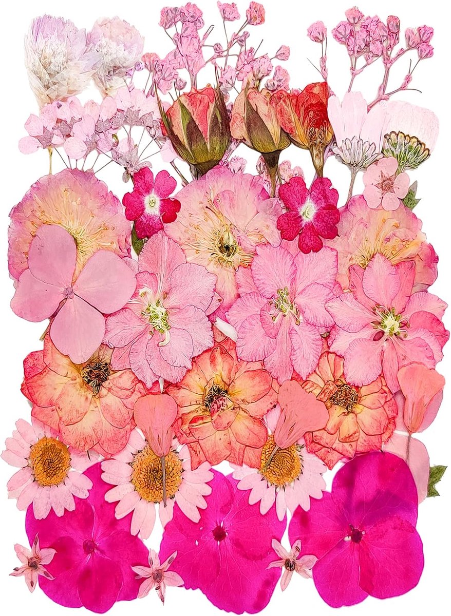 Gedroogde geperste bloemen voor harsmallen, echte natuurlijke geperste bloemen voor doe-het-zelf kunstambachten, kaarsen maken, nageldecoratie, zeep maken, telefoonhoesje