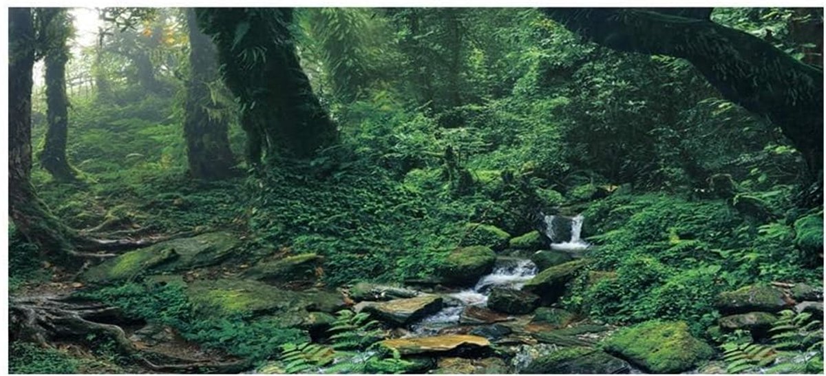 achtergrond Poster Sticker Mooie PVC zelfklevende Riverway groene houten achtergrond Poster Aquarium decoratie (61 * 41 cm)