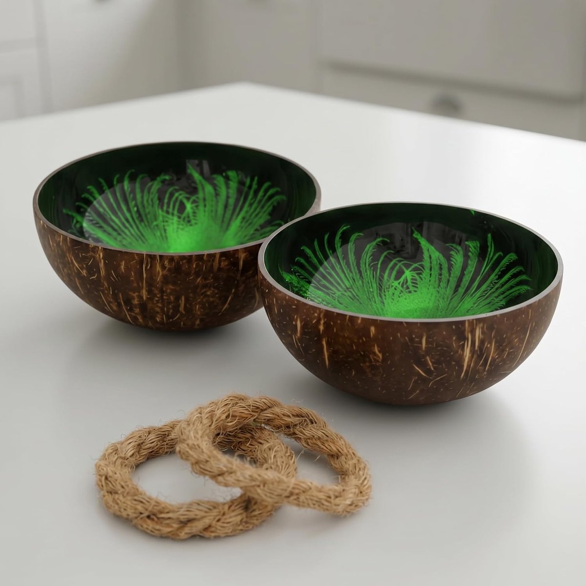 kokosnootschaal | Boeddha Bowl | Decoratieve schaal - gelakt, handgemaakt en milieuvriendelijk