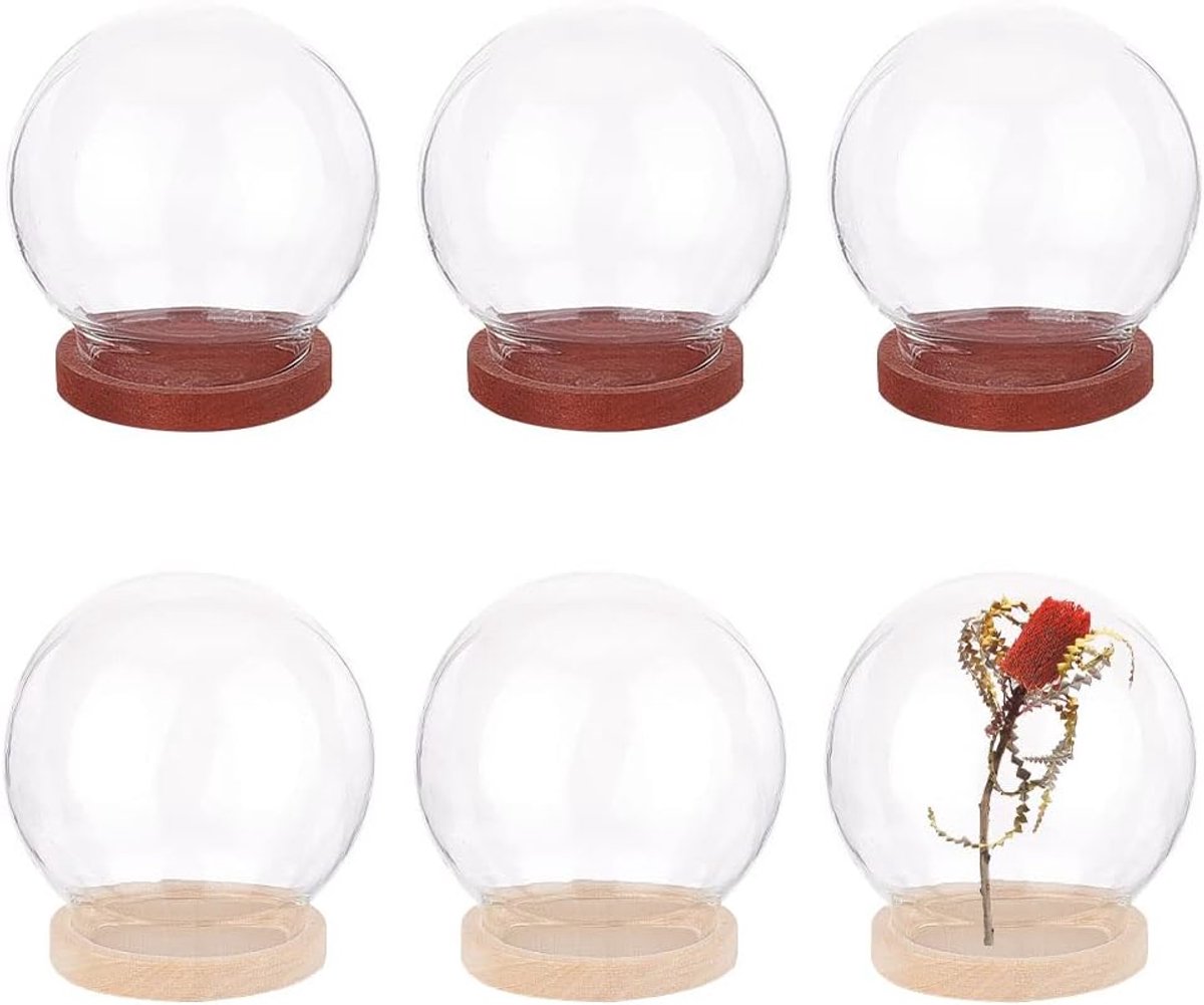 6 stuks mini glazen koepel, 4 cm in diameter ronde glazen display koepel glazen cloche koepel helder glas display koepel cover met houten basis voor centerpieces planten rotsen specimens