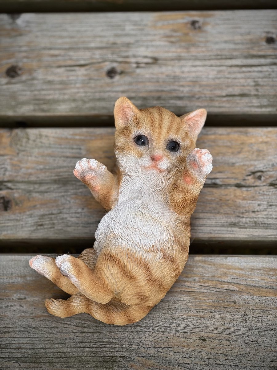 poes spelend op rug rood 8 cm hoog ess - decoratief beeld - kat - kitten - dierenbeeld - voor buiten - cadeau - geschenk - verjaardag - voor hem - voor haar - Vaderdag - Moederdag - Valentijn - Pasen