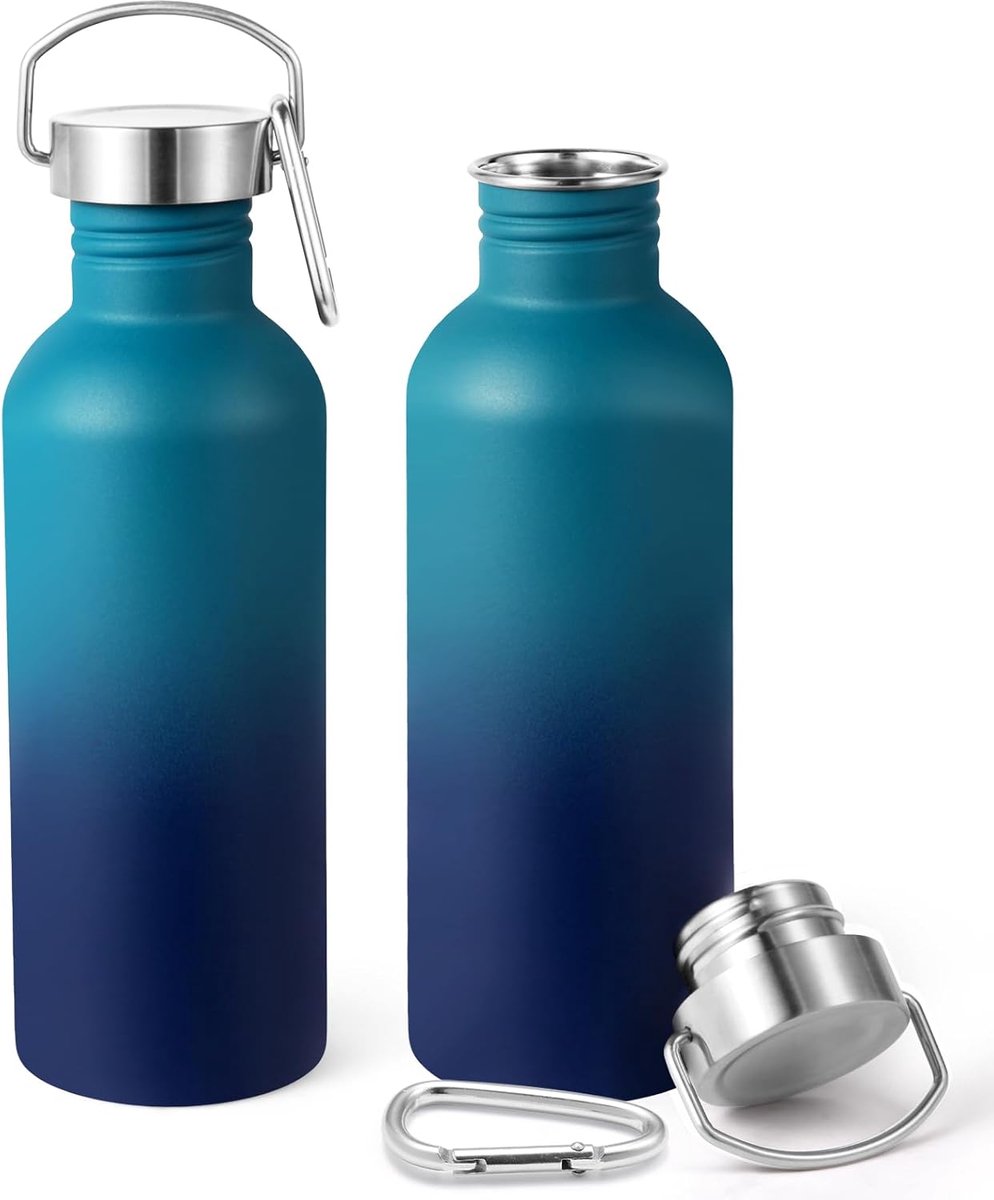 1000 ml ongeïsoleerde enkelwandige waterflessen 2 stuks, roestvrijstalen sportwaterfles met handvat en karabijnhaak, BPA-vrije lichtgewicht waterflessen voor wandelen, hardlopen (donkernacht