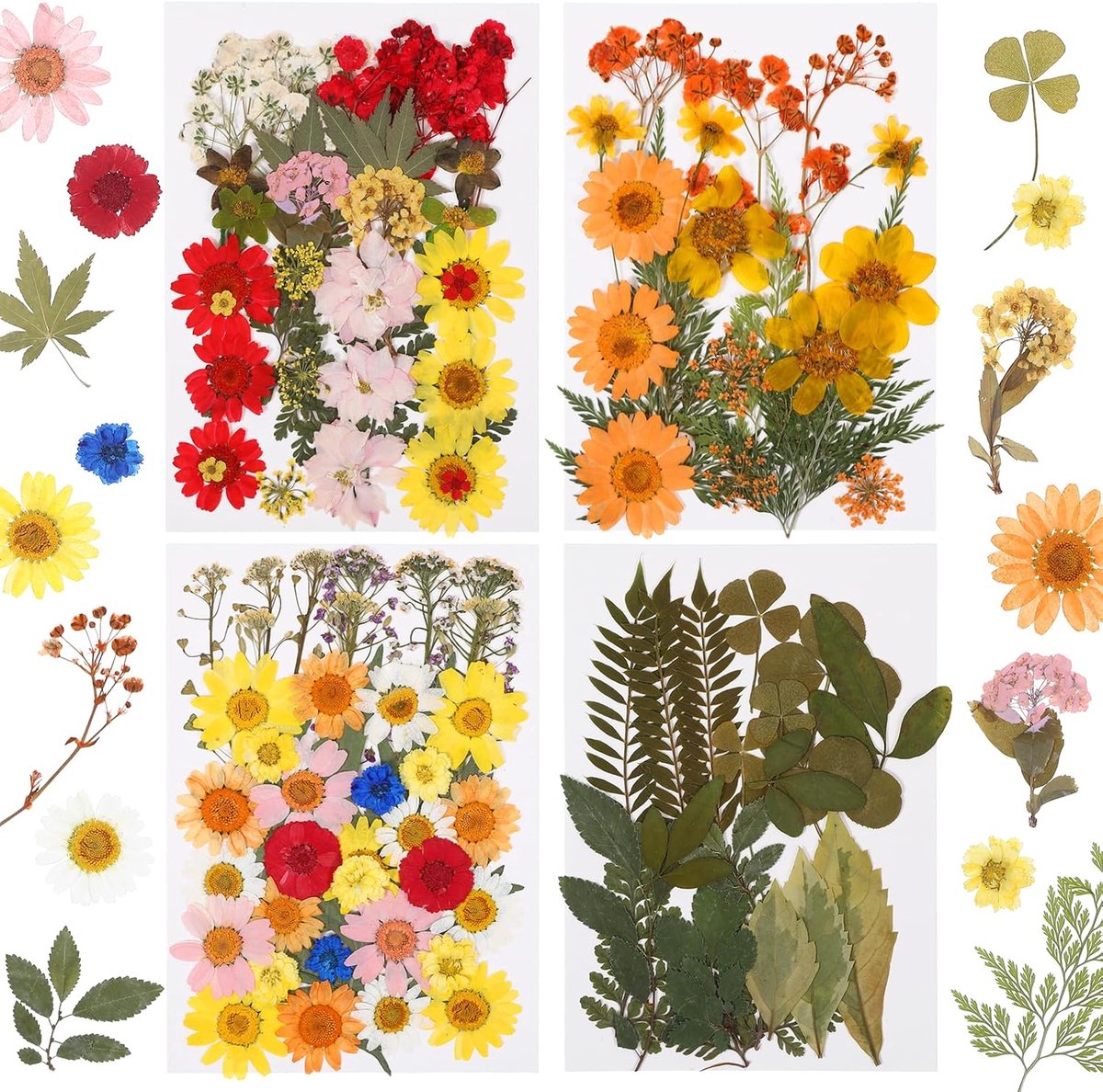 4 sets geperste bloemen en bladeren, natuurlijke droogbloemen om te knutselen, gedroogde bloemen voor doe-het-zelf harskunst, gedroogde bloemen, knutselen voor het maken van kaarsen, fotolijsten, zeep