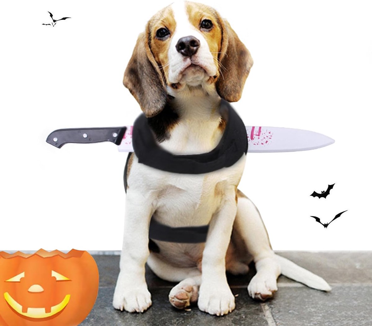 Halloween Kostuum voor Huisdieren Hond Kostuums Hondenkostuum Huisdierkostuum Hond Kostuums Huisdier Kostuum Huisdier Grappig Hondenkostuum Halloween Party Cosplay Kleding