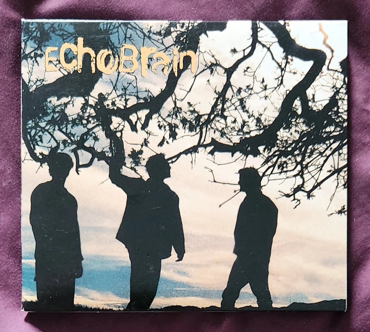 Echobrain