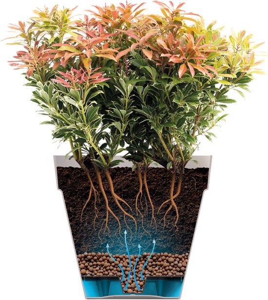 Grijze plantenbak met plant, wortels en illustratie van waterafvoer.