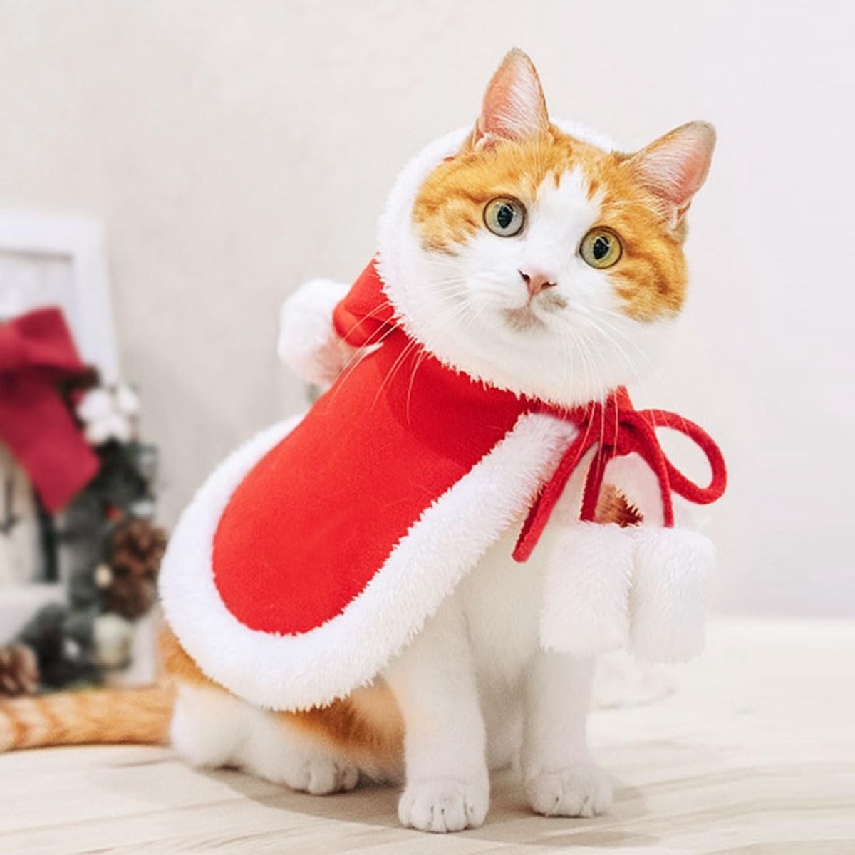Dailygoods- Kerstkostuum Rood - Huisdierkostuum - Kleding/Mantel - Omhang voor Katten/Honden - Polyester - Comfortabel en Warm - Huisdieroutfit