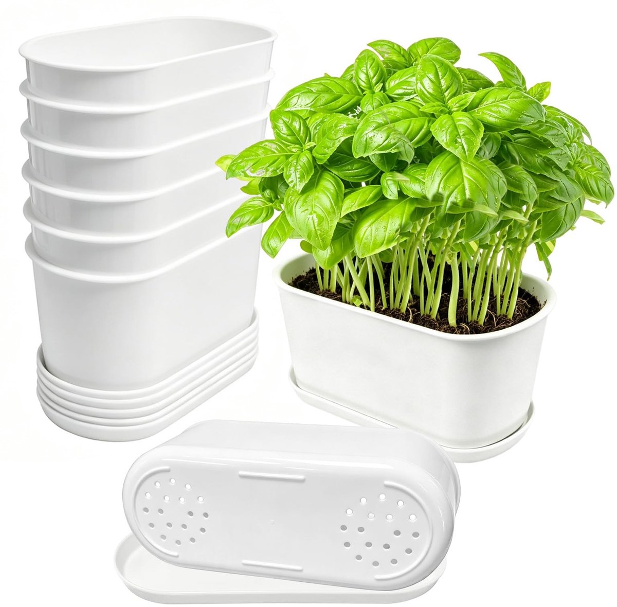 Dailygoods - Set van 10 Bloempotten met Schotel - Ideaal voor Cactus en Succulenten